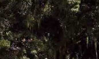 Imagem 5: Apartamento em Gávea - Rio de Janeiro