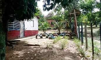 Imagem 2: Sítio na comunidade Livramento