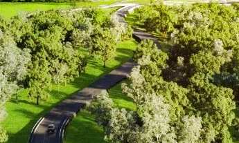 Imagem 4: Agio Vinhas Flamboyant