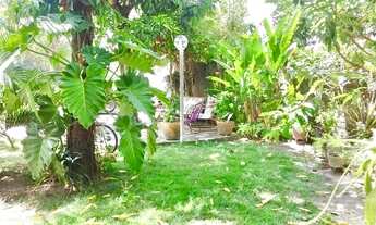 Imagem 2: VENDO PEQUENO SITIO EM CARIACICA 80 MIL