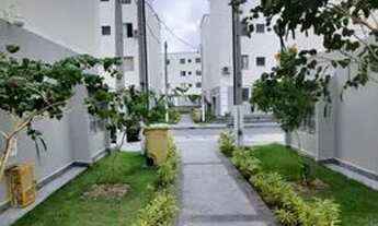 Imagem 4: Apartamento para aluguel tem 50 metros quadrados com 2 quartos