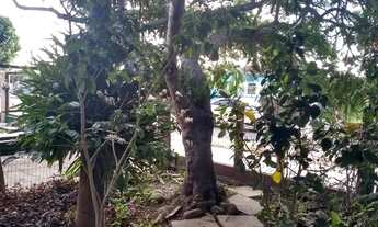 Imagem 7: Casa no posto 4 de Capão Novo