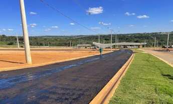 Imagem 3: Agio Vinhas Flamboyant