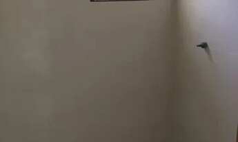 Imagem 6: COBERTURA - VILA ALZIRA - SP