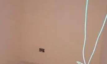 Imagem 6: Casa ha 20 minutos praia Rio das ostras