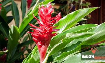 Imagem 6: Linda casa rústica a venda em condomínio Encontro das Aguas - Lauro de Freitas - Bahia