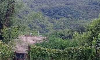 Imagem 6: Chácara pertinho do centro de Rolante RS