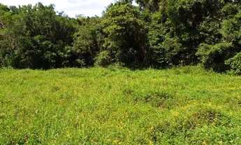 Imagem 4: 47.000 m2-R$ 390.000,00 urbano escriturado em Pariquera-Açu