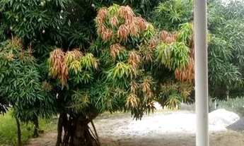 Imagem 3: Casa com Terreno em Imbassai, Mata de São João