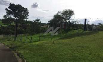 Imagem 4: Terreno - Bairro das Palmeiras - Campinas