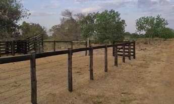 Imagem: Oportunidade! Vende-se uma excelente fazenda