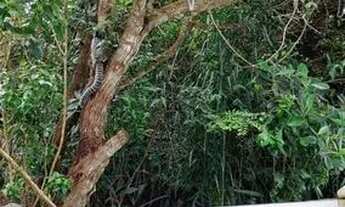 Imagem 6: Duplex 2 suítes