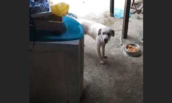 Imagem 4: Casa Casa com 1 dormitório