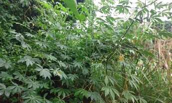 Imagem 7: VENDO CASA EM PORTO DOURADO, DEPOIS DO PRÉ MOLDADO BELA VISTA