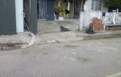 Imagem 6: Vendo duas casas no mesmo terreno