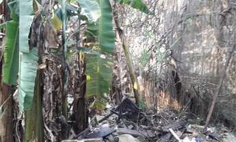 Imagem 2: Casa-São Paulo-JAÇANÃ