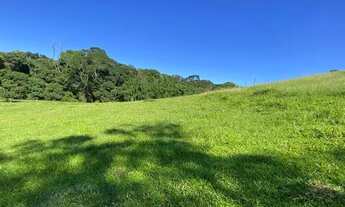 Imagem 4: LP- Terreno próximo de comércios