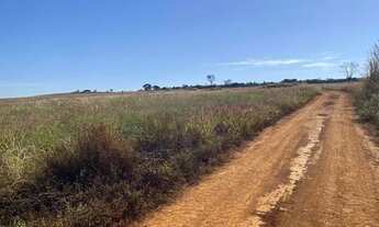Imagem 7: Fazenda sentido Leopoldo Bulhões na GO330