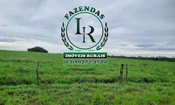 Imagem 7: Fazenda 365 alqueires, 1.766 hectares, Área aberta