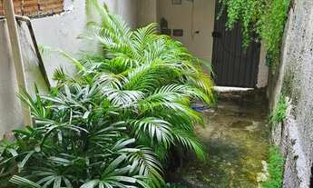 Imagem 4: Casa em Plataforma com Quintal