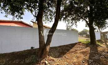 Imagem 2: área - Parque da Figueira - Paulínia