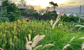 Imagem 3: Casa com 3 dormitórios à venda, 197 m² por R$ 4.100.000,00 - Praia da Silveira - Garopaba