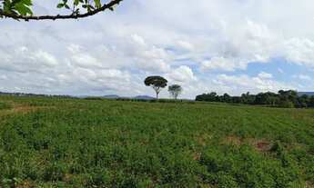 Imagem: VENDO CHÁCARA 6 ALQUEIRES ITABERAÍ/GO