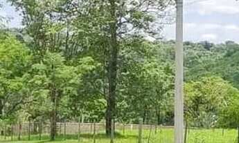 Imagem 3: Lote para casa de campo