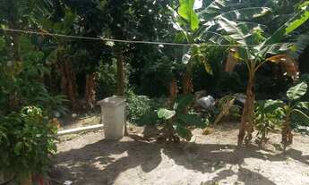 Imagem: Terreno 15×8