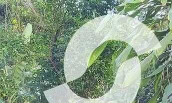 Imagem: Terreno à venda, 500 m² por R$ 1.950.000,00