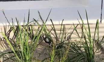 Imagem 5: VENDA - CASA TÉRREA - 3 QUARTOS - ÁGUAS CLARAS - NOVO ALEIXO - FINANCIÁVEL