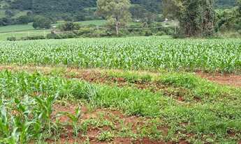 Imagem 5: TERRENO 2HC SERRA AZUL IGARAPÉ/MATEUS LEME