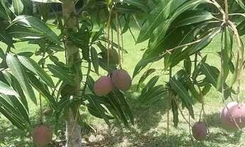 Imagem 7: Casa dos Sonhos no Portal das Rosas Vista para Montanhas e Área Gourmet