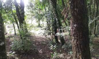 Imagem 3: Terreno chácara sítio