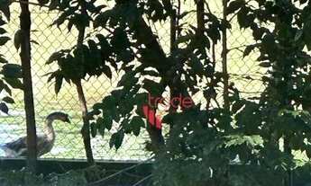 Imagem 6: Terreno em Condomínio Fechado à Venda de 490m² no Bairro Reserva Santa Luisa em Ribeirão P