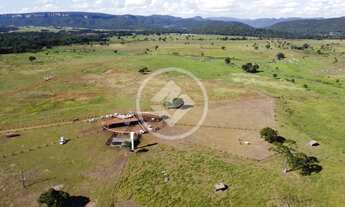 Imagem: FAZENDA À VENDA 695,50 HECTARES CUIABÁ/MT