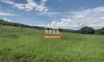 Imagem: Fazenda 26 alqueires (125,84 hectares )