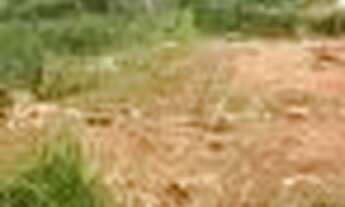 Imagem 5: Vendo lote de 1760m2 na ponte alta norte