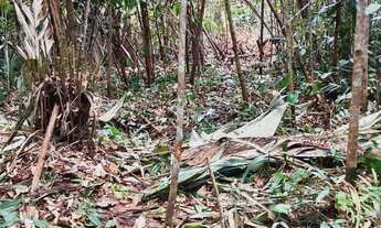 Imagem 3: Sítio Pau Rosa - R$ 10.000 de Entrada