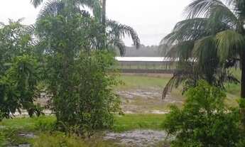 Imagem 6: Fazenda 2.500 X 2.600 na AM 010 km 164 9.000.000