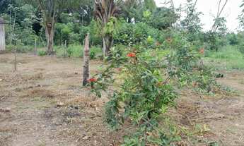 Imagem 7: VENDO TERRENO NA AM 070