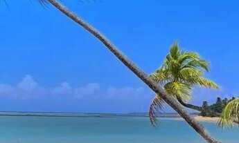 Imagem 3: Barra Grande/ Ilha Vera Cruz Aluguel temporada: Casa condomínio Fechado, pertinho da praia