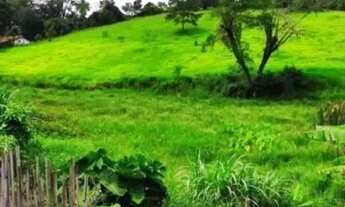 Imagem 4: AREA - PARQUE DOS JACARANDÁS - SP