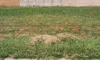 Imagem 3: Terreno Residencial à venda, Parque das Laranjeiras, Uberaba - TE0118