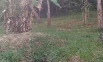 Imagem 6: Terreno Casa com 1 dormitório