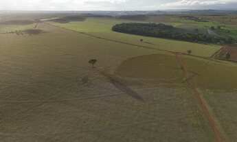 Imagem 7: Fazenda Anápolis