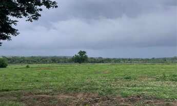 Imagem 7: Oportunidade única de chácaras no Rio dos bois