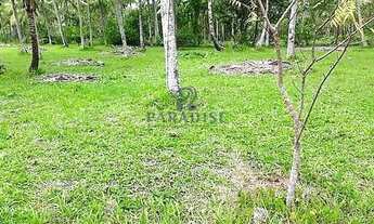 Imagem 4: Terreno, loteamento morro de São Paulo R$ 700 mil, Cod: 68865