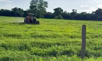 Imagem 6: Fazenda a venda, em São Domingos / Goiás!