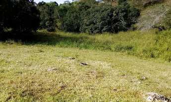 Imagem 3: Vende -se terreno Capela -Sergipe